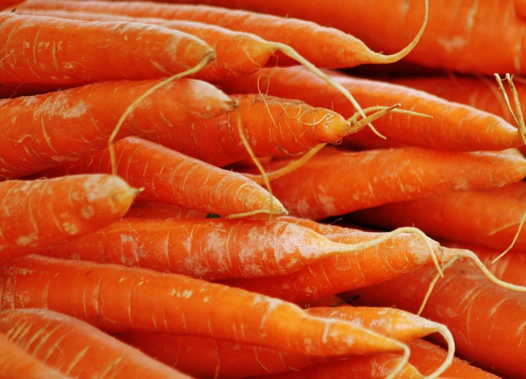 carrots