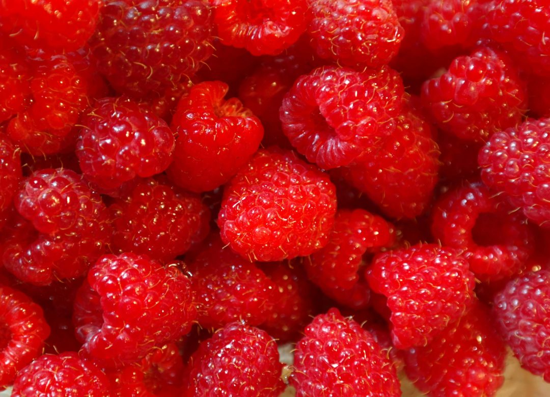 rasbperries